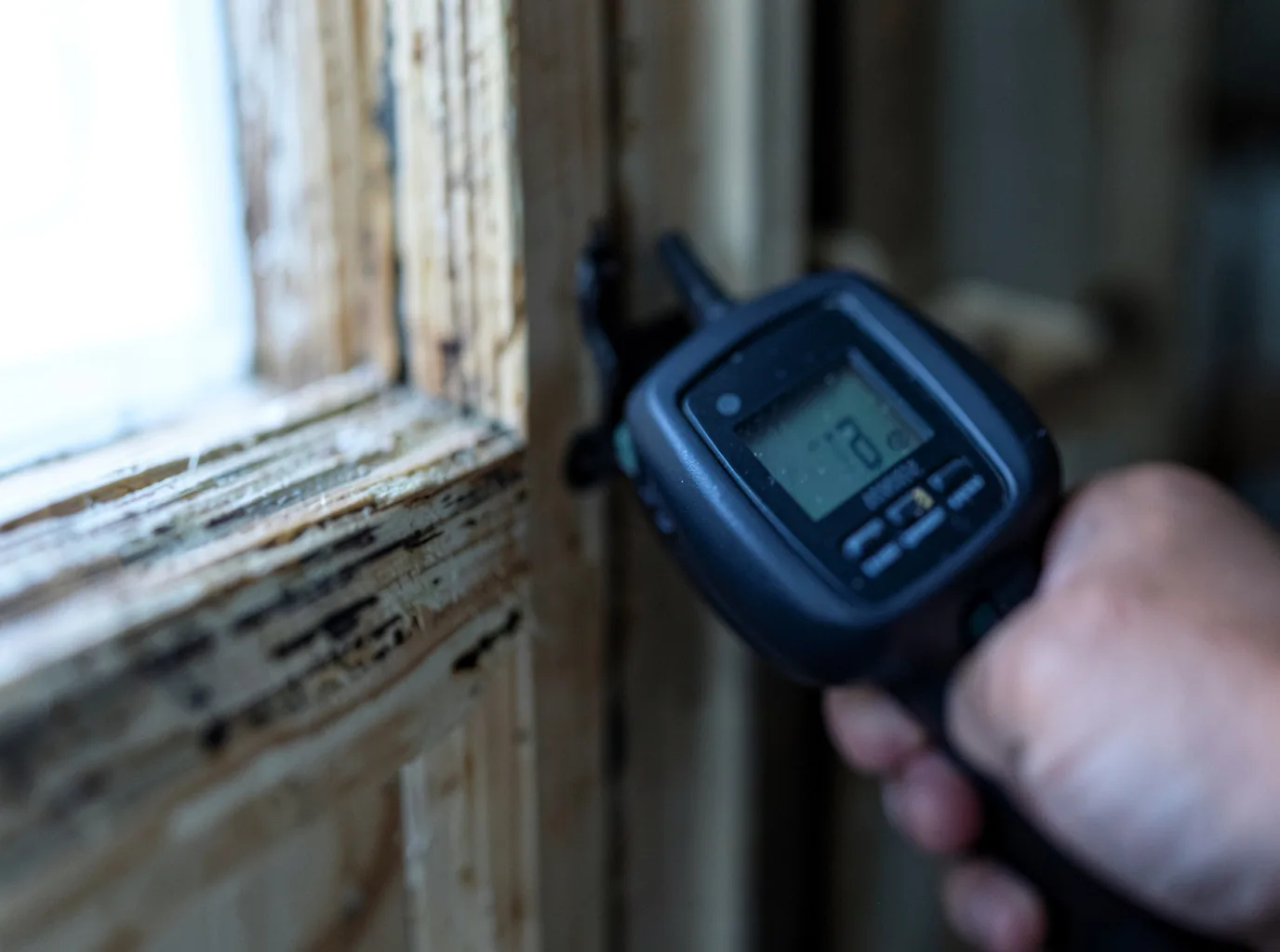 Commercial Water Damage Restoration in Greene, IA